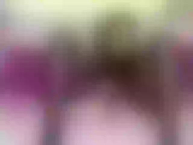 Live sex webcam photo for Kisska0011 #291599498