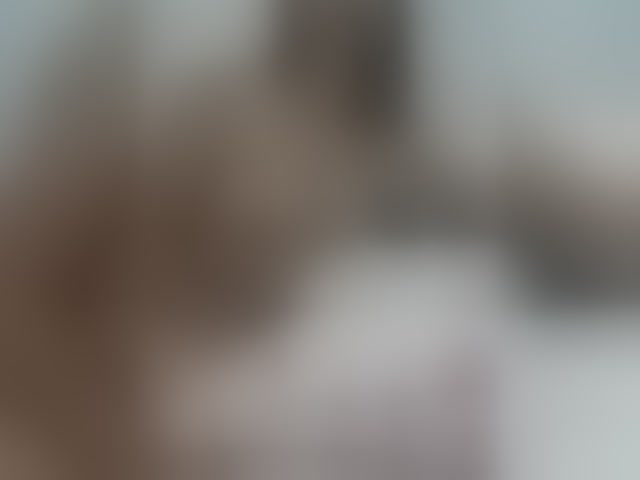 Live sex webcam photo for Kitteen #294134521