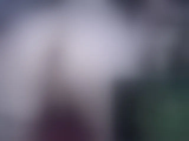 Live sex webcam photo for KittenDark #293740576