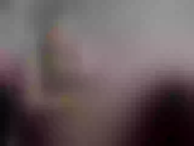 Live sex webcam photo for KittyCute #291794099
