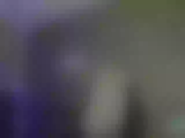 Live sex webcam photo for KittyCute #291927469