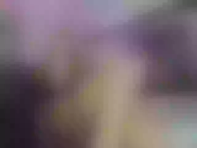 Live sex webcam photo for KittyCute #291970414