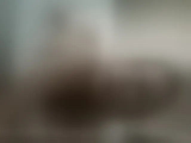 Live sex webcam photo for Koketka #294081946