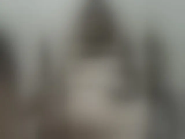 Live sex webcam photo for Kolibrii #293887448
