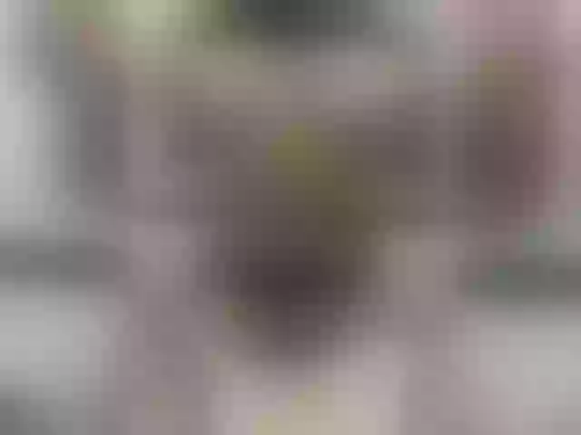 Live sex webcam photo for KotandSusie #291590739