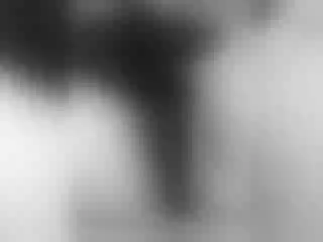 Live sex webcam photo for Krasivayalubov #290390897
