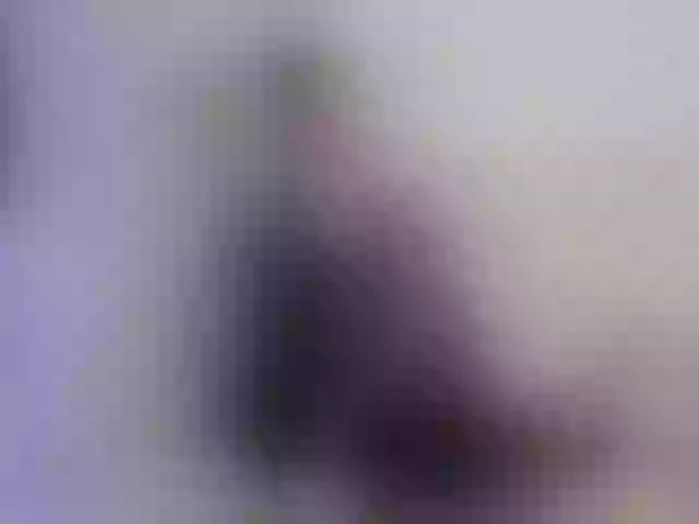 Live sex webcam photo for Kriss-me #292152541
