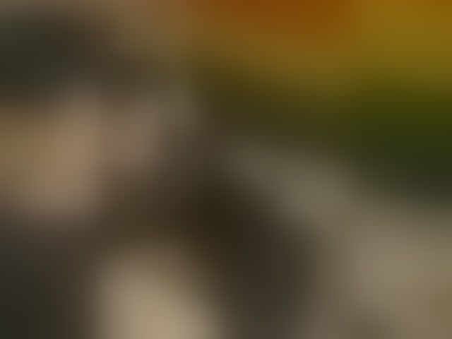 Live sex webcam photo for KristiFox #294281327