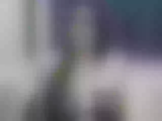 Live sex webcam photo for Kristicat #291358821