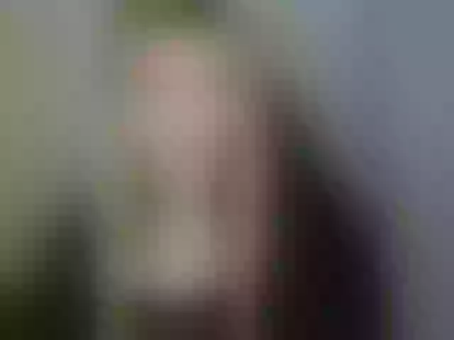 Live sex webcam photo for KristineNatural #292255529