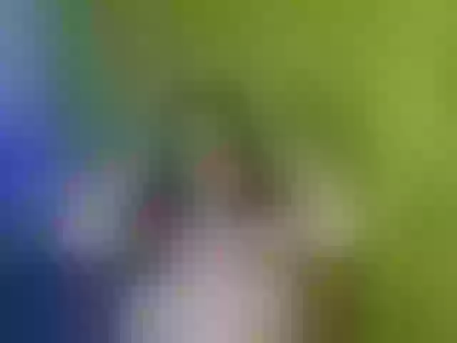 Live sex webcam photo for KrystalAdams #292294813