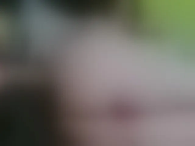 Live sex webcam photo for KrystalAdams #292550734
