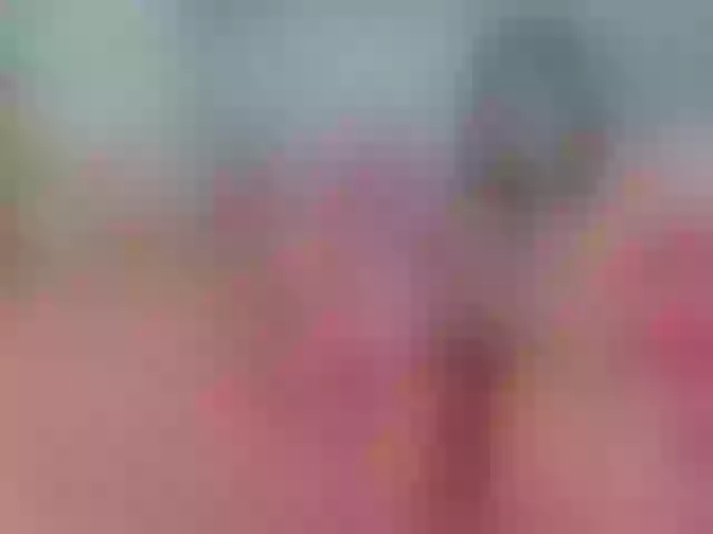 Live sex webcam photo for Kuraii #290919086