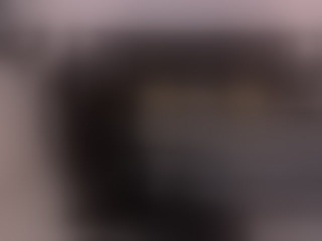 Live sex webcam photo for KylaMorrison #294030957