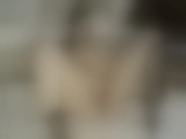 Live sex webcam photo for KylieElise #293821254