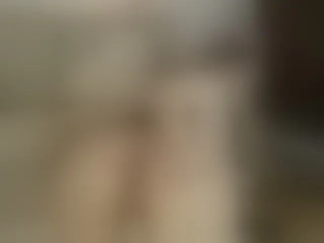 Live sex webcam photo for KylieElise #293855312