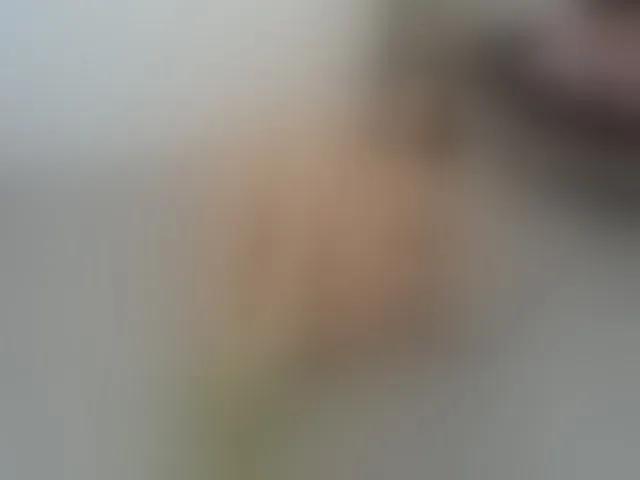Live sex webcam photo for KylieKathy #292585392