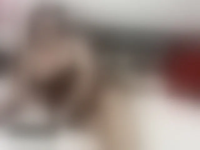 Live sex webcam photo for KyliePage1 #293512716