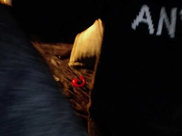 Live sex webcam photo for LEXA-JOIS #276779495