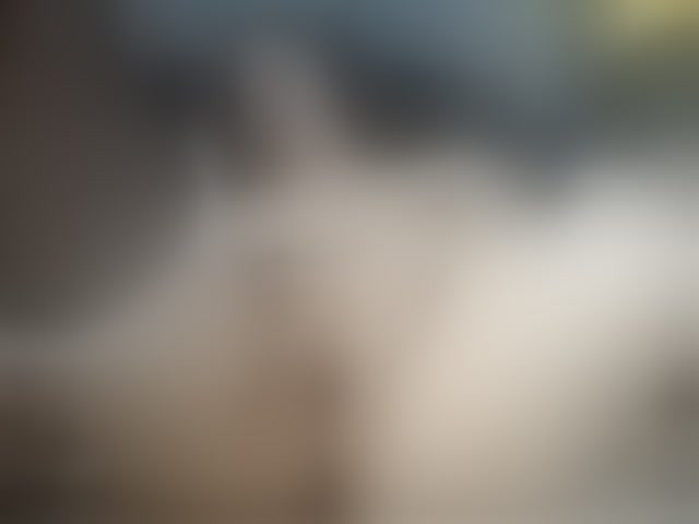 Live sex webcam photo for LOLIITA #294137653