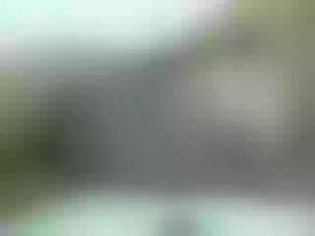 Live sex webcam photo for LOVELY-JAZMINE #291506460