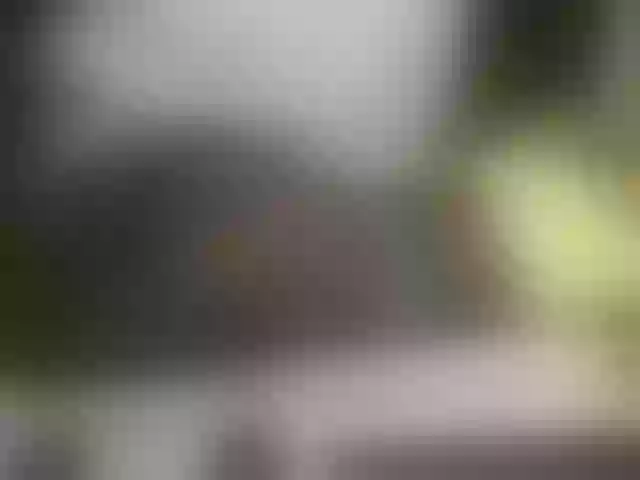 Live sex webcam photo for LOVELY-JAZMINE #292012786