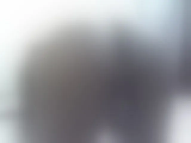 Live sex webcam photo for LUMINOUS-PAUL #293908422