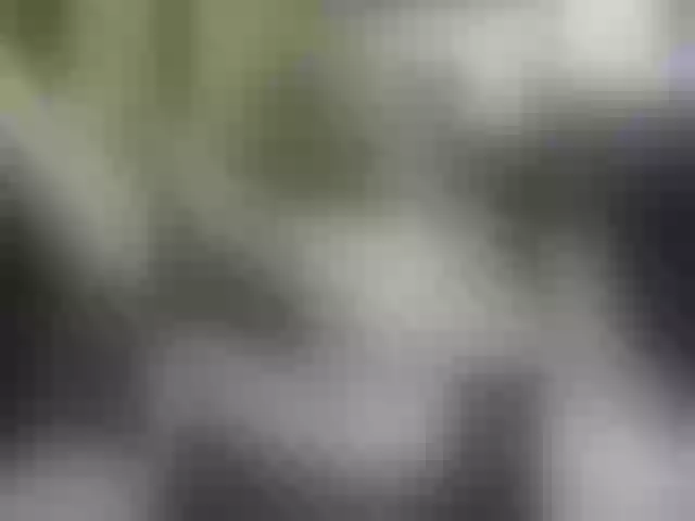 Live sex webcam photo for LUST-7-11-7 #273802458