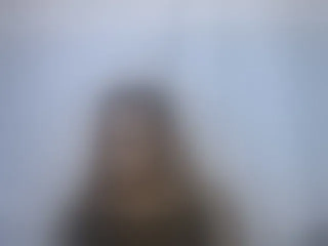 Live sex webcam photo for Labella204 #293578286