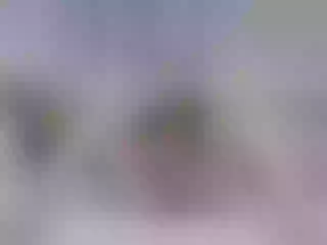 Live sex webcam photo for LaddyLuckk #276267369
