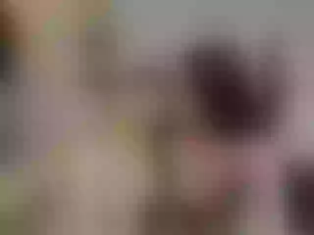 Live sex webcam photo for Ladiesbosses #274065928
