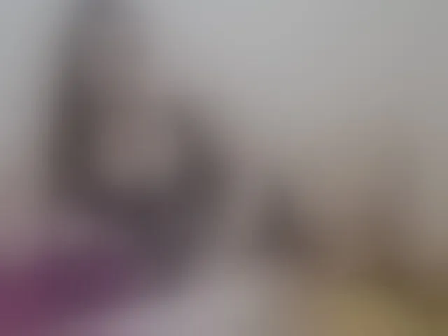 Live sex webcam photo for Lady-Adrianna #294270437