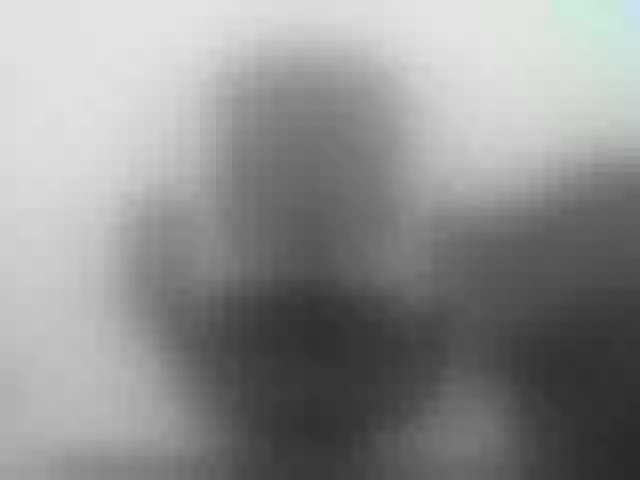 Live sex webcam photo for Lady-Young #291889355