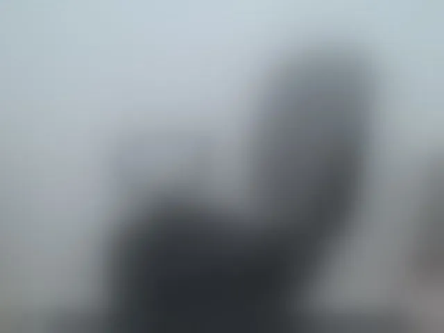Live sex webcam photo for Lady-Young #293082702
