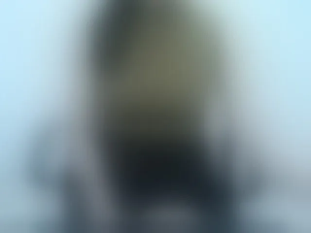 Live sex webcam photo for Lady-Young #293375133