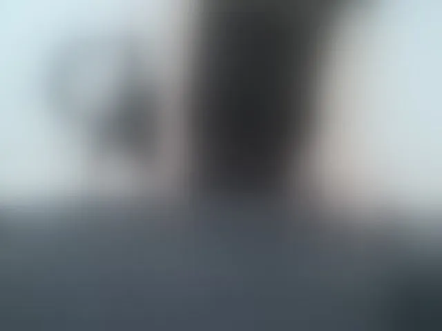 Live sex webcam photo for Lady-Young #293994840