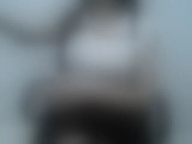 Live sex webcam photo for Lady-Young #293999811