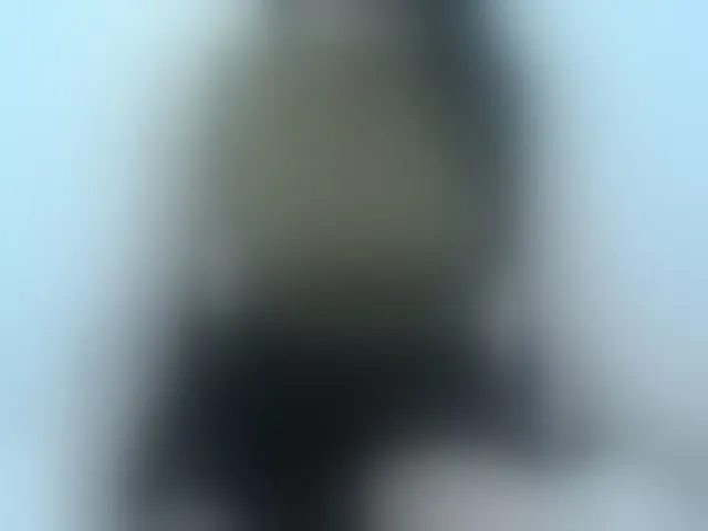 Live sex webcam photo for Lady-Young #294084573