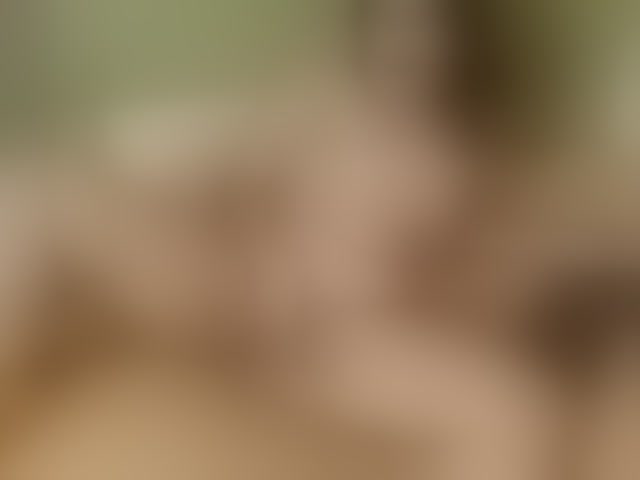 Live sex webcam photo for LadyAmbar #294075885