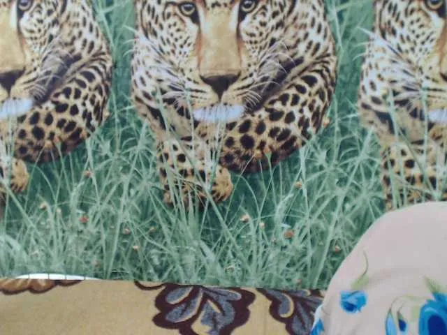 Live sex webcam photo for LadyHellene #291345976