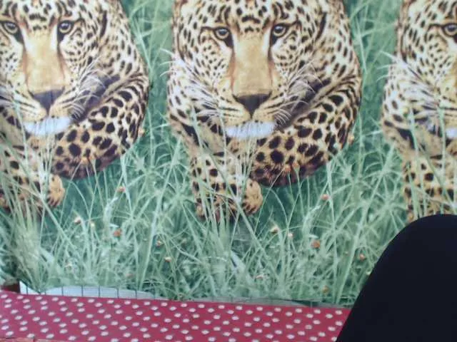 Live sex webcam photo for LadyHellene #291487354