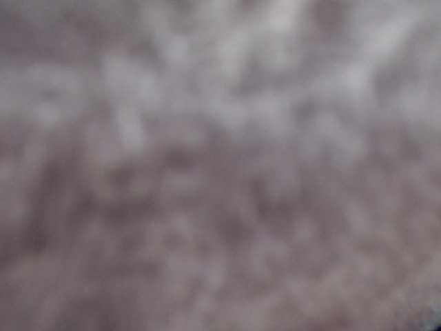 Live sex webcam photo for LadyHott #273396564