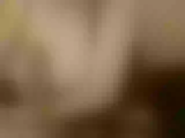 Live sex webcam photo for LadyJeen #290894511