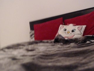 Live sex webcam photo for LadyOfDesire #124434014