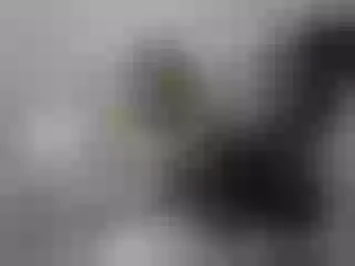 Live sex webcam photo for Ladyextazz #121325273