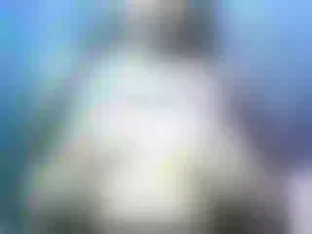 Live sex webcam photo for Lally23 #277101533