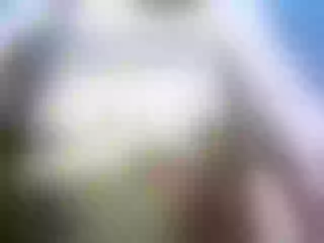 Live sex webcam photo for Lally23 #277216749
