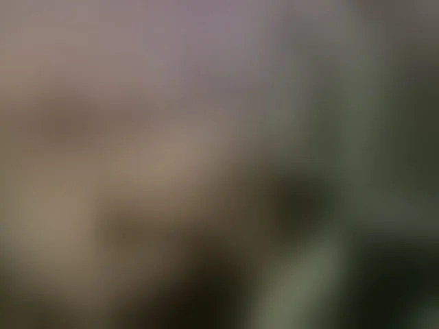 Live sex webcam photo for Lambo-7 #276273413