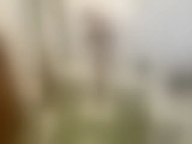 Live sex webcam photo for Lambo-7 #276300467