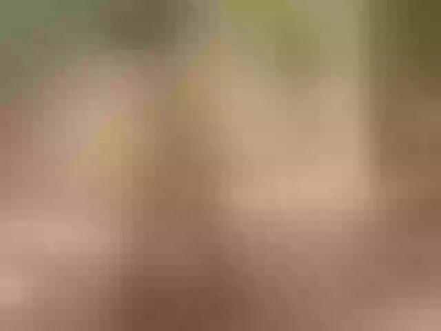 Live sex webcam photo for Lanamalone #290710489